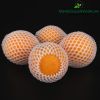 1kg-luoi-xop-khong-boc-oi-chua-thun-va-nylon-bong - ảnh nhỏ 8