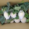 1kg-bao-xop-luoi-bao-dua-buoi-thanh-long-mau-trang-22cm - ảnh nhỏ 2