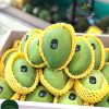 1kg-bao-xop-luoi-bao-dua-buoi-thanh-long-mau-vang-22cm - ảnh nhỏ 2
