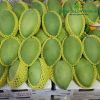 1kg-bao-xop-luoi-bao-dua-buoi-thanh-long-mau-vang-22cm - ảnh nhỏ 5