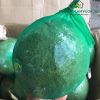 1kgtui-luoi-dung-rau-cu-qua-l200kg-mau-xanh-40cm - ảnh nhỏ 9
