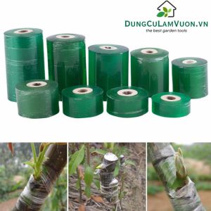 Băng Keo Ghép Cây Màu Xanh 3cm – Chống Thấm Nước, Hỗ Trợ Ghép Cành Hiệu Quả