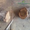 cua-lach-mini-cua-canh-trong-vi-tri-hep-cua-lach - ảnh nhỏ 7