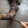 cua-lach-mini-cua-canh-trong-vi-tri-hep-cua-lach - ảnh nhỏ 8