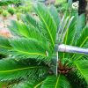 cuoc-cao-xoi-dat-2-chuc-nang-inox - ảnh nhỏ 4