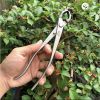 kim-cap-tron-trang-bonsai-mstwa - ảnh nhỏ  1