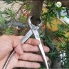 kim-cap-tron-trang-bonsai-mstwa - ảnh nhỏ 2