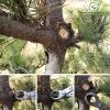 kim-cap-tron-trang-bonsai-mstwa - ảnh nhỏ 4