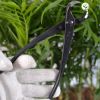 cap-tron-den-bonsai-loai-thuong - ảnh nhỏ 4