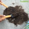 bo-dung-cu-lam-vuon-mini-3-mon - ảnh nhỏ 4