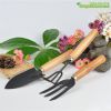 bo-dung-cu-lam-vuon-mini-3-mon - ảnh nhỏ 5