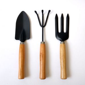 Bộ dụng cụ làm vườn mini 3 món
