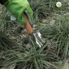 bay-tay-lon-luoi-inox-co-thuoc-do-evergreen - ảnh nhỏ 6