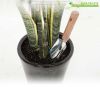 bay-tay-lon-luoi-inox-co-thuoc-do-mui-nhon - ảnh nhỏ 6