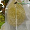 100-cai-tui-bao-mit-sau-rieng-50x70cm-chat-lieu-luoi-mung-caro - ảnh nhỏ 2