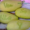 5-tui-bao-trai-tao-chu-thu-phap-cho-qua-xoai - ảnh nhỏ 3