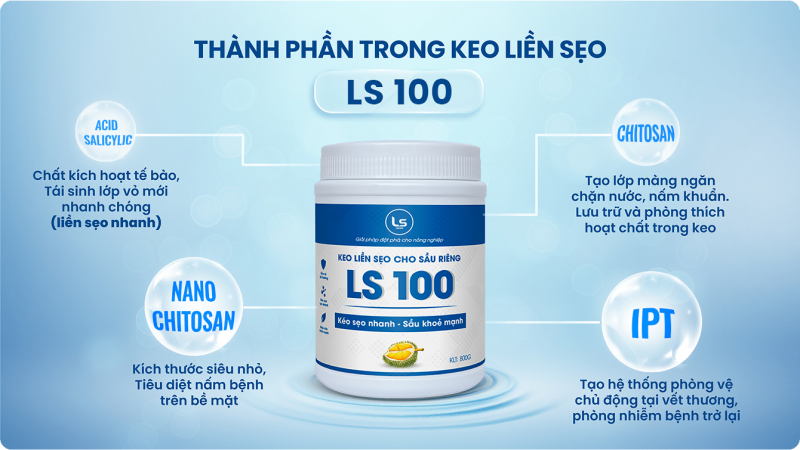 Keo Liền Sẹo LS100 – Giải Pháp Phục Hồi Vết Thương Hiệu Quả Cho Cây Sầu Riêng