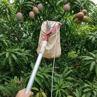 LỒNG HÁI TRÁI CÓ DÂY GIẬT HM133 – GIẢI PHÁP THU HOẠCH TRÁI CÂY TRÊN CAO AN TOÀN, TIỆN LỢI